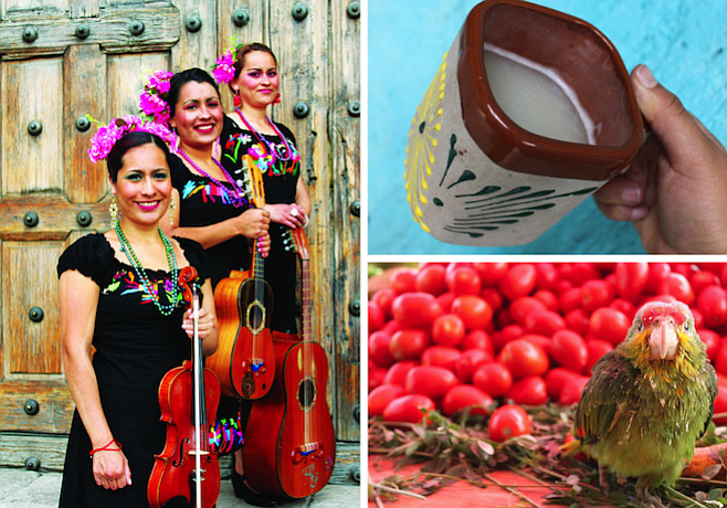 Clockwise from left: photo shoot of the folk group Las Palomitas Serranas; the drink of the gods, pulque; a parrot in Tepotzotlán's market.