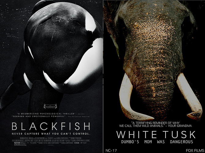 A FOX Films representative dismissed any similarities between the two film posters are "totally coincidental," calling the comparison "a typical liberal media tactic."