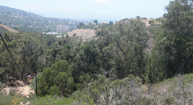 The view toward La Jolla beaches from the top of the steep trail.
