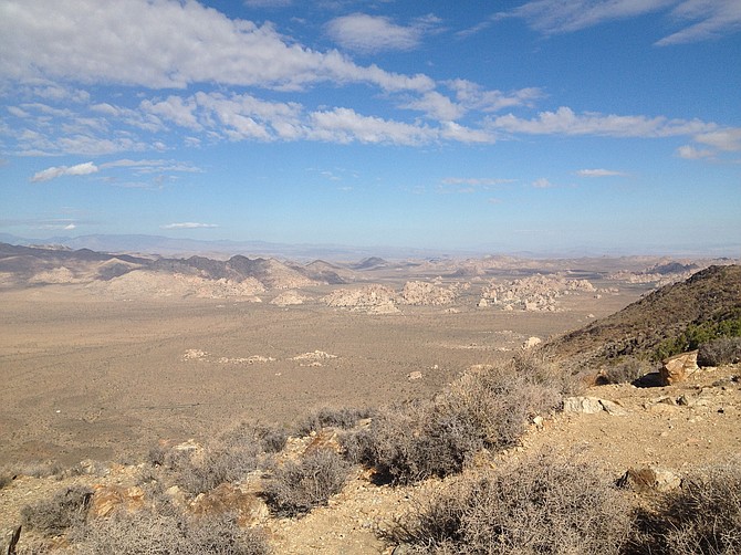 view from Ryan Mountain, Joshua Tree National Park