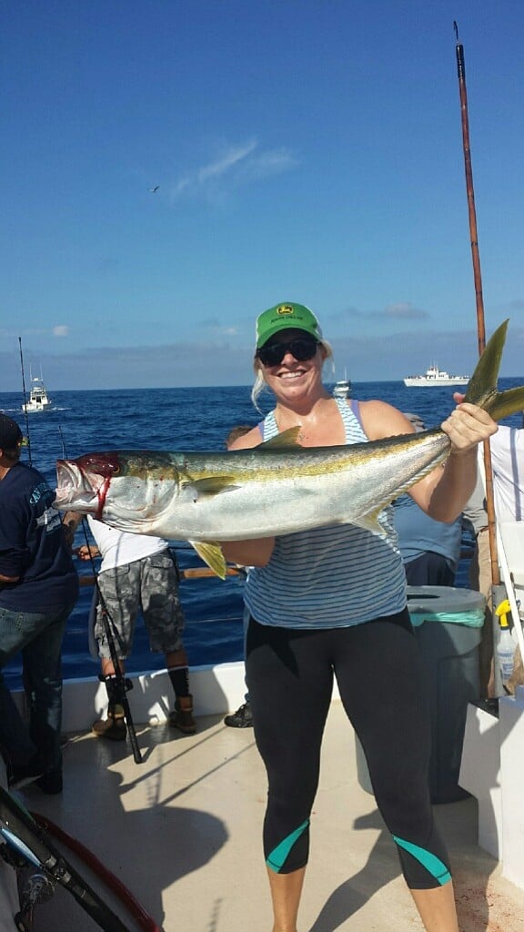 This yellowtail was caught on my first deep sea fishing trip to the Coronado Islands. I had a phenomenal experience fishing on the 'San Diego' 3/4 day charter from Sea Forth Landing. I reeled this beast in for about 5 minutes and was lucky I could get him in the boat before a ravenous seal got to him! It made for some pretty tasty fish tacos as well :) 