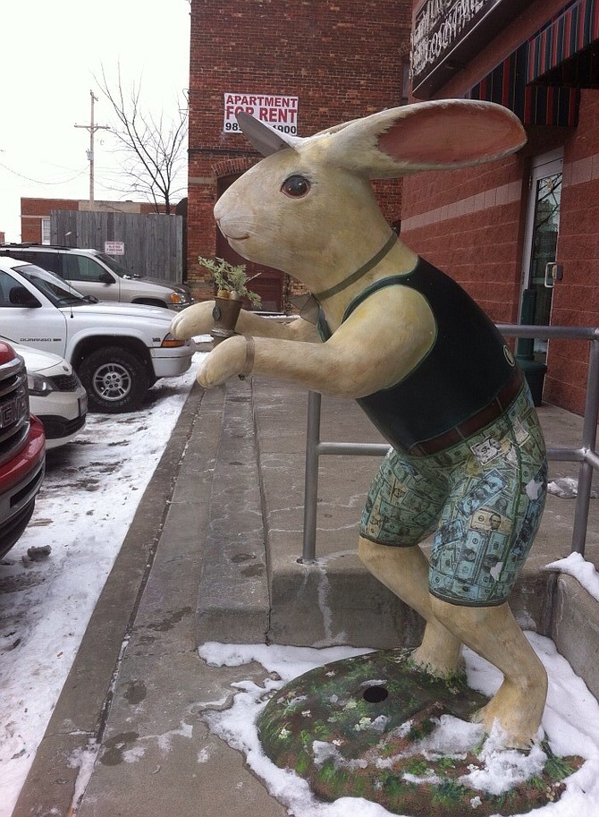 Rabbit in front of store, Saginaw.