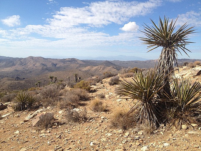 View from Ryan Mountain. 