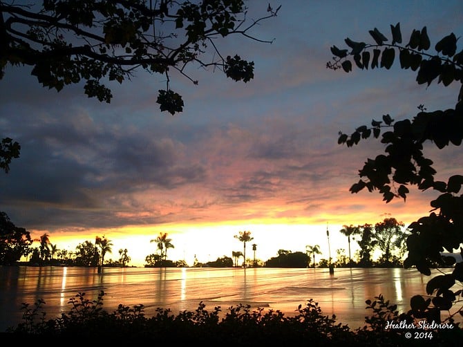 San Diego Zoo Rainy Day Sunset