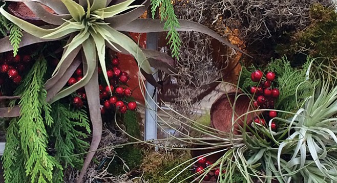 Wreath with Tillandsia from Green Gardens 
