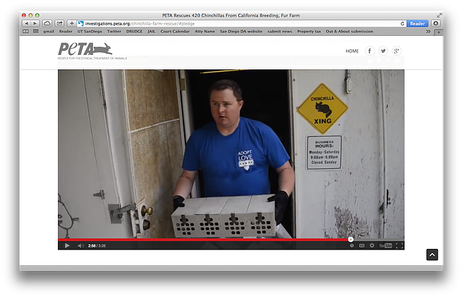 Photo of purported "rescue" of animals, found on PETA website. Screen grab