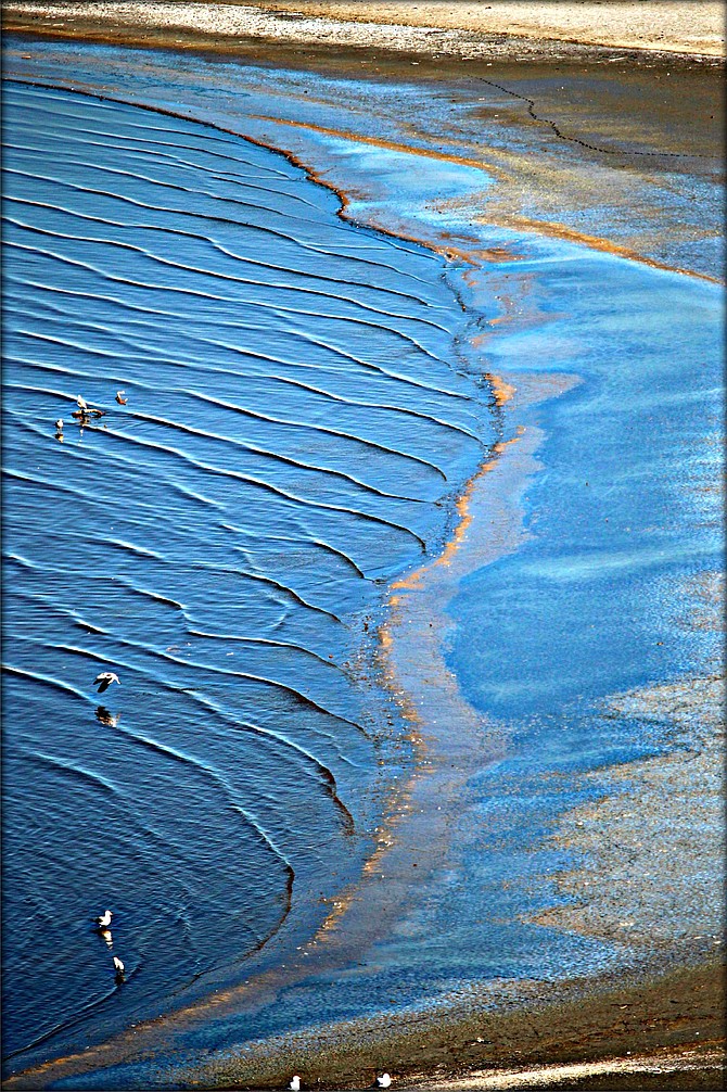 Ripples by the seashore at the Sony Bono Salton Sea Wildlife & Refuge.  Took a walk along a designated walking path and as you climb to a nearby hill you have an amazing view of the Salton Sea and it's hidden beauties.  On this particular day the Sun was shining and the air was crisp which made for this glorious capture of impending dying sea.