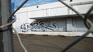 photo thumbnail