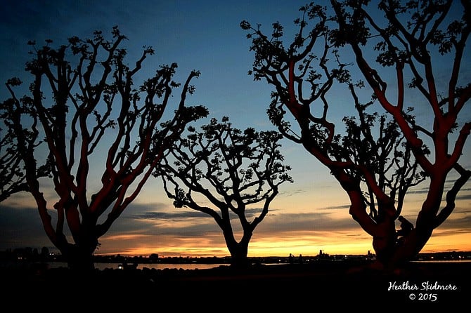 Embarcadero Marina Park at Seaport Village