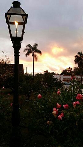 Sunset stroll through the garden at the Whaley House in Old Town