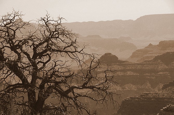 Grand Canyon in sepia tones