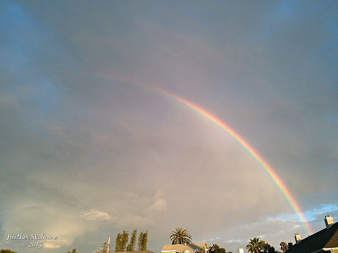 North Park Rainbows