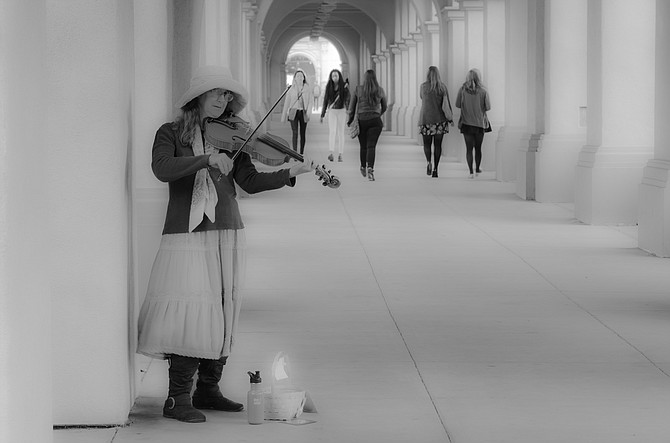 The lady with the violin