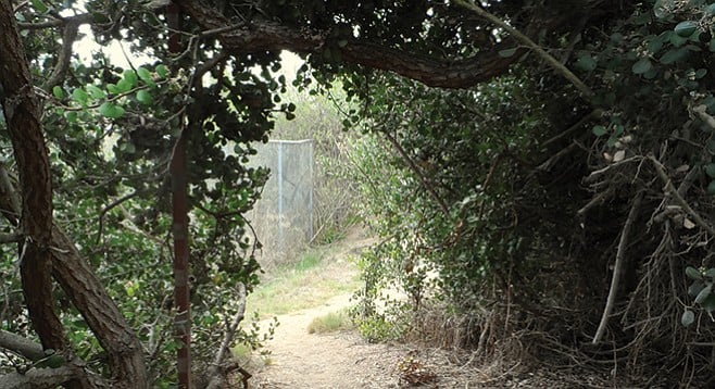A shaded section of the trail is near W. Point Loma Blvd.