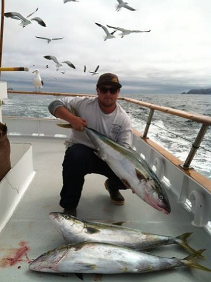3 nice big Yellowtail bagged on the "Mission Belle" out of Point Loma Sportfishing while at the Coronado Islands casting a green and yellow Salas 7x surface iron. A day I will never forget!