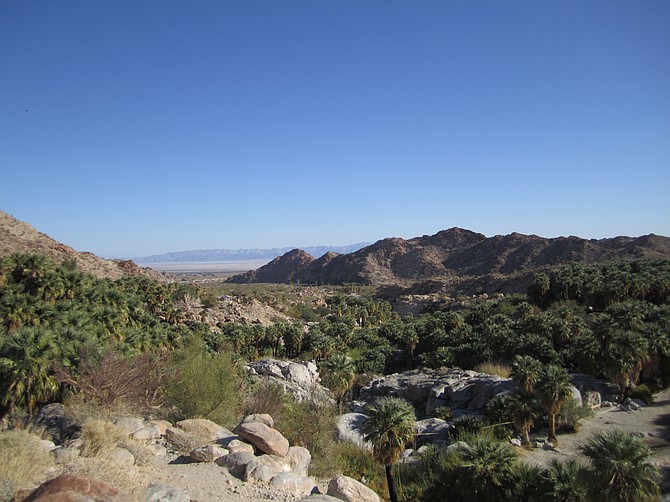 A glorious view of Guadalupe Canyon Oasis.