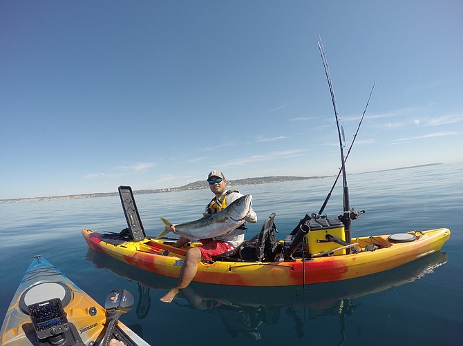 Homeguard yellowtail caught while kayak fishing in La Jolla.