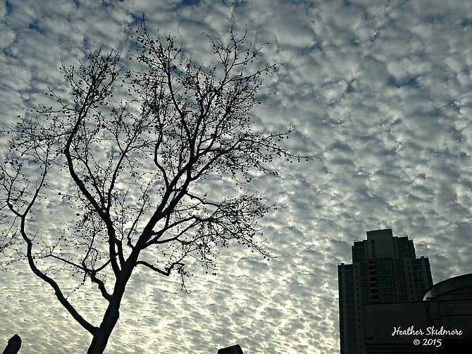 Mackerel Sky Over Downtown San Diego