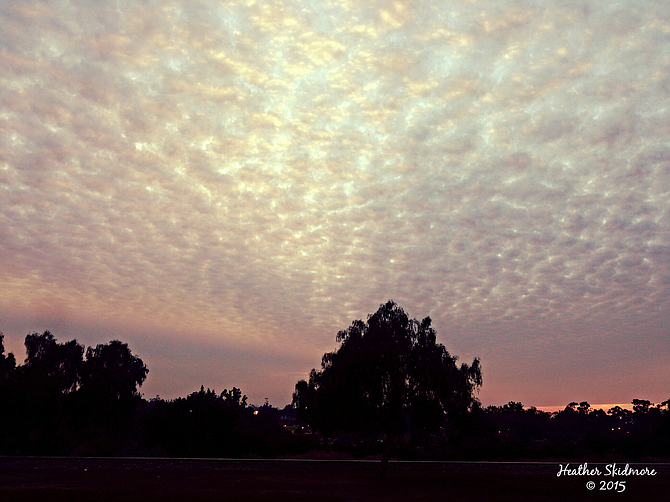Mackerel Sky Over Balboa Park