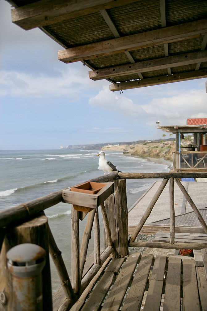 The Baja coastline from a restaurant patio in Puerto Nuevo.