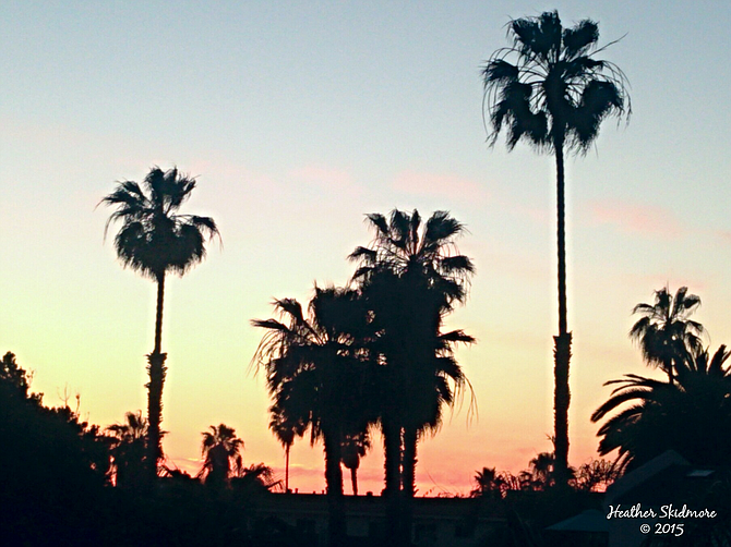 Ocean Beach Sunset