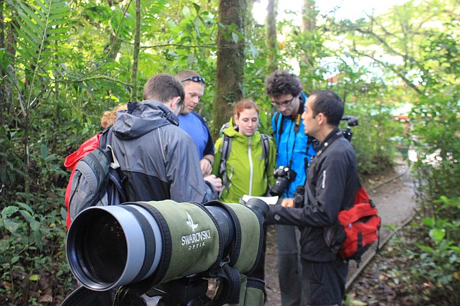 Guided tour in Monteverde Cloud Forest