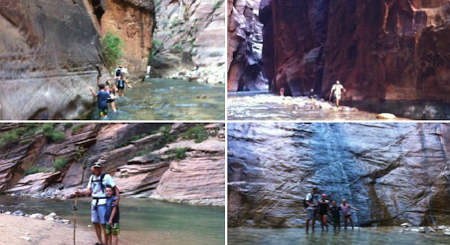 The Bottom-Up section of Zion's Narrows hike is 10 miles round-trip and fun for the whole family.