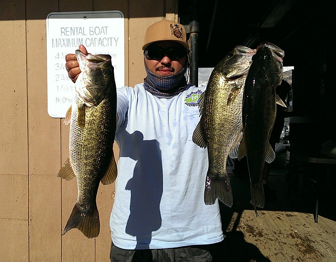 I caught these bass at el capitan, I was using flukes in baby bass color, it was cold and raining that day. I was using 6lb test seaguar line. All fish were released safe and sound...