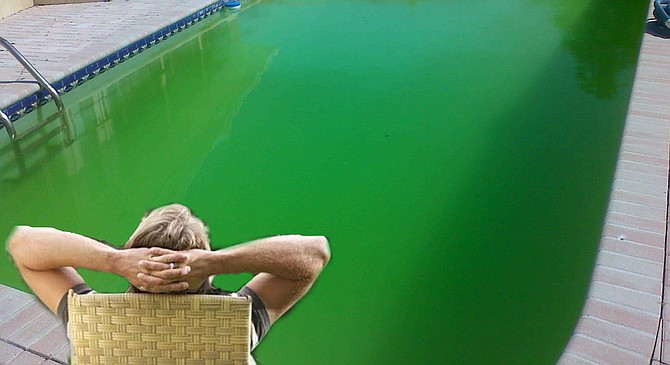 James McFadden spent months not working on his pool to get it ready for St. Patrick's Day.