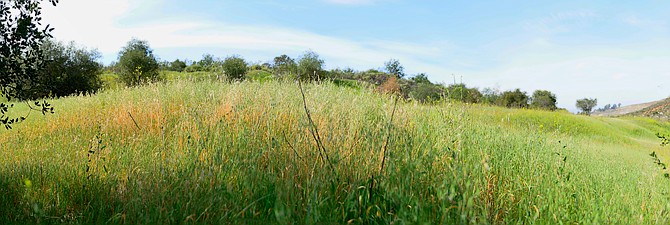 Mission Trails Regional Park 
Father Junipero Serra Trail, San Diego