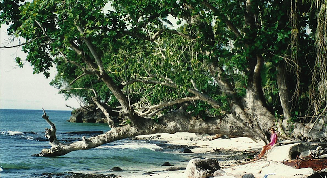 Banyan grove hides a pristine Tawi-Tawi beach.