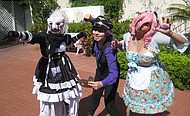 photo thumbnail
