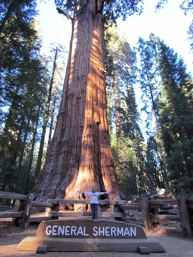 In front of General Sherman, the largest tree (by volume) in the world.