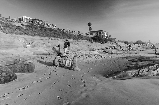 Beach Scene