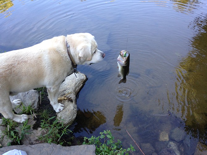 Guero and a Large Mouth Bass from our Pond.