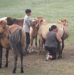 Family milking a mare.