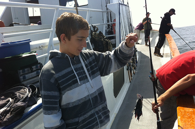 Taking my son on a San Diego 1/2 Day fishing trip on the Dolphin.
His biggest fish was ripped in half by a hungry Sea Lion as it was coming to the surface.
Any day is a good day if you are fishing on the Dolphin as we did see a lot of Dolphins.