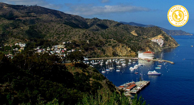 Avalon's harbor and Catalina Casino from the Inn at Mount Ada.