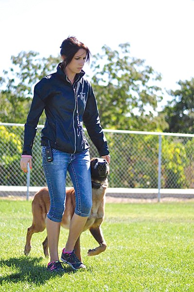 Stephanie O’Brien specializes in training aggressive dogs.