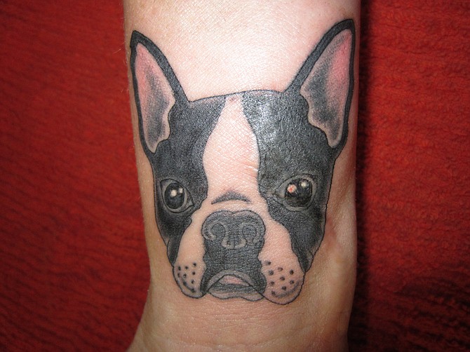 This was my tattoo for my 45th birthday.  I love Boston Terriers and my tattoo has features of all 4 of mine, especially the little rip on the ear for the one who likes to fight.  It also covers up an old scar that has been bugging me forever.  My tattoo artist is Raymond Mike Johnson over at Apogee tattoo parlour.  He is awesome!!