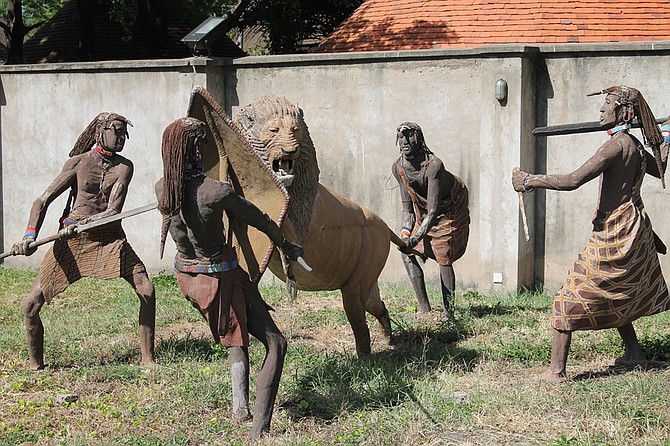 How the Maasai hunt a lion