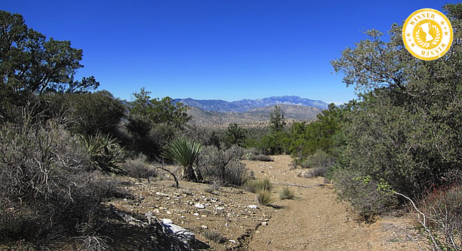 On the Cactus Spring Trail, with Mount San Jacinto in the background.
