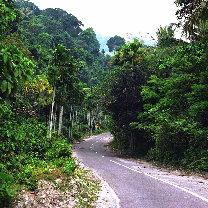 The ride into Sabang City, Indonesia is truly the most beautiful. I took a Tuk-Tuk into the main city. For those of you who don't know what a "Tuk-Tuk" is, it is a motorcycle with a side cart. I had to take a boat from the main Island of Sumatra, Indonesia to this small Island. From there I took a tuk-tuk into the main city. The ride was about an hour long and I was able to see monkey, birds, and little huts all along the way. The best part was waving at the locals as we past by. It was indeed one of the best and most breath taking moments of my life. 