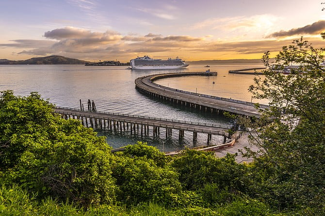 The San Francisco Bay illuminated by sunrise light during peak spring colors.