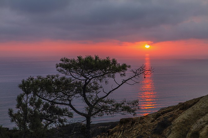 A vibrant sunset blasts through a marine layer at Torrey Pines Natural Preserve.