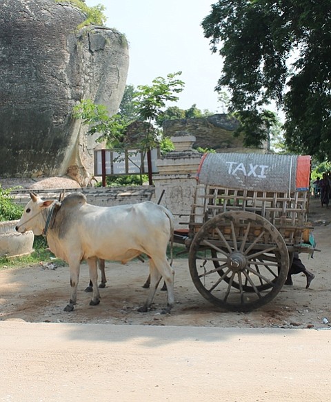 Brahma taxi