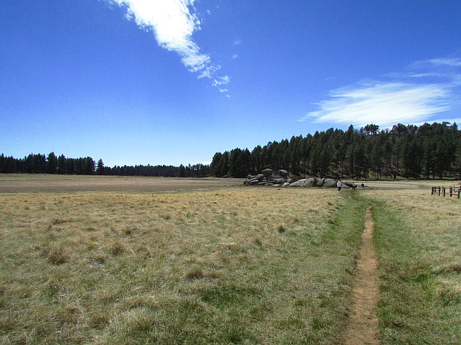 My trip up to Meadow Loop, Laguna Mountains, San Diego, California