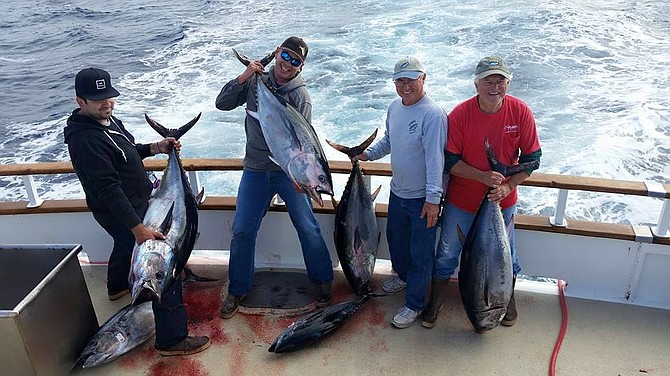 Good quality bluefin tuna withing 20 miles of Point Loma aboard the Eclipse.
