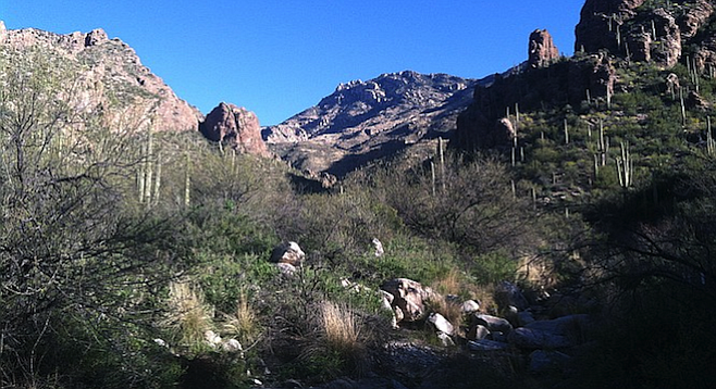 Hiking through Coronado National Forest's Ventana Canyon, about 20 minutes north of Tucson.