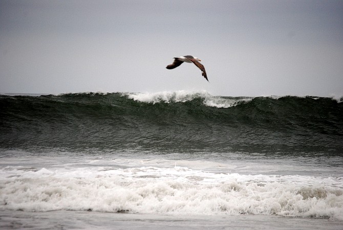 High waves at Coronado.